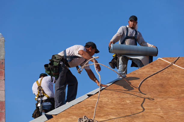 Best Storm Damage Roof Repair  in Edmonton, KY